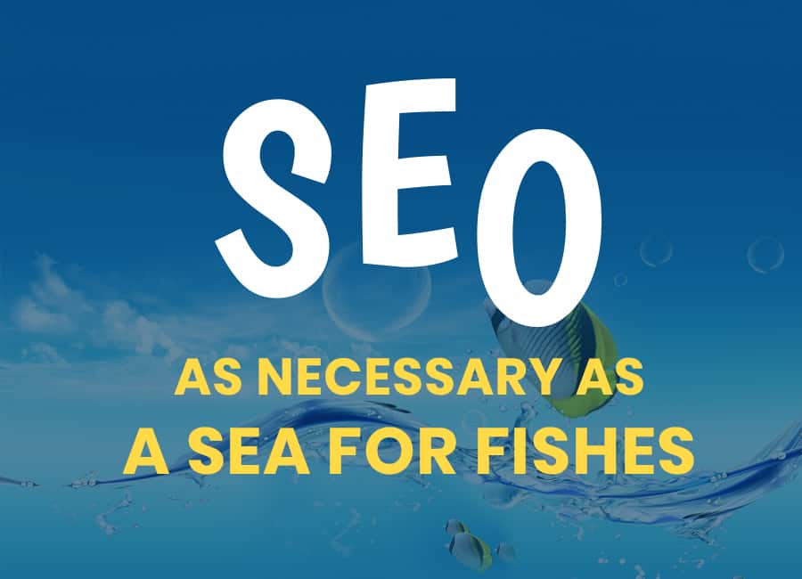 Let step up by showing what actually the SEO is.