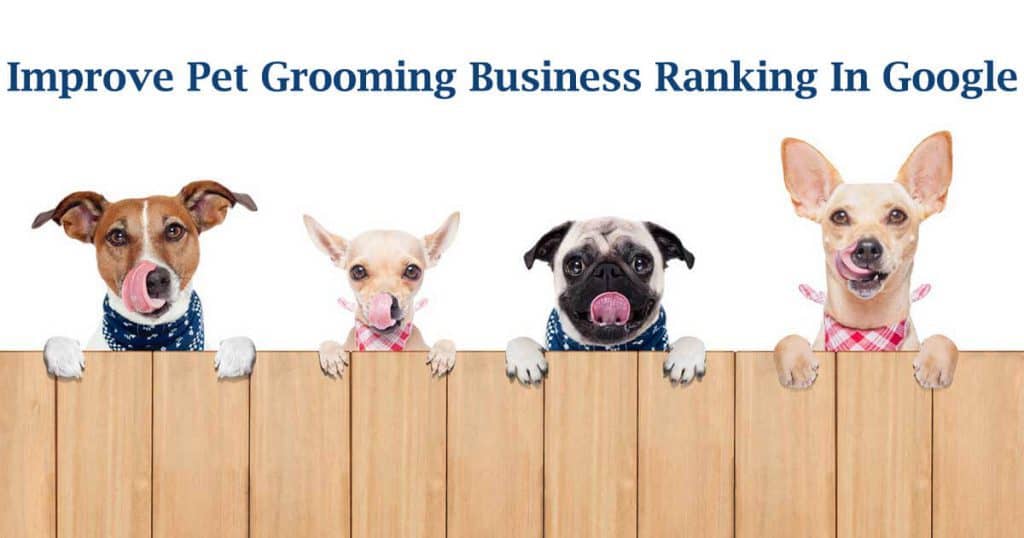 Pet Grooming Business seo