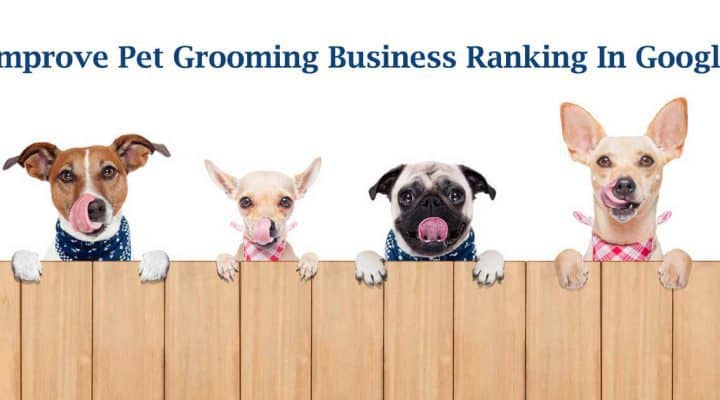 Pet Grooming Business seo