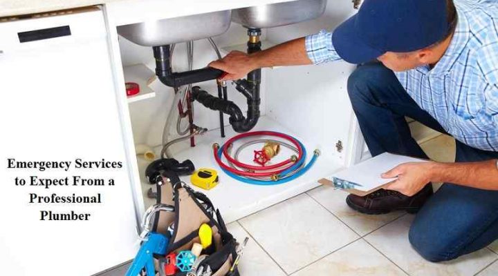 Emergency Services to Expect From a Professional Plumber