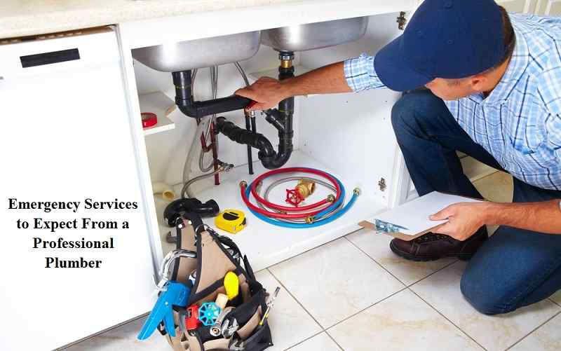 Emergency Services to Expect From a Professional Plumber