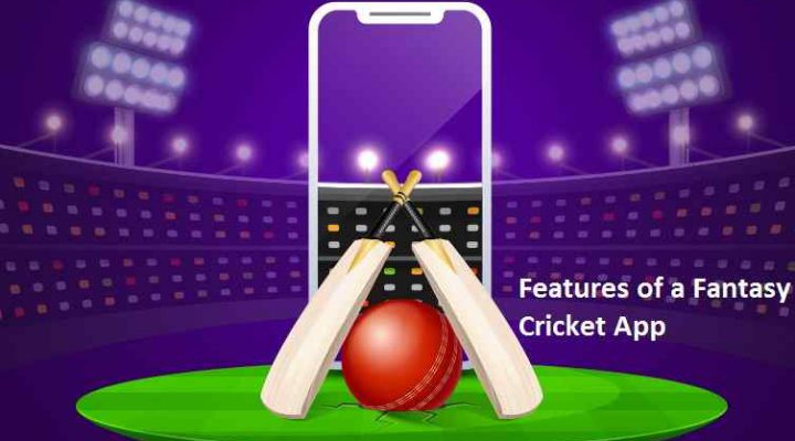Features of a Fantasy Cricket App